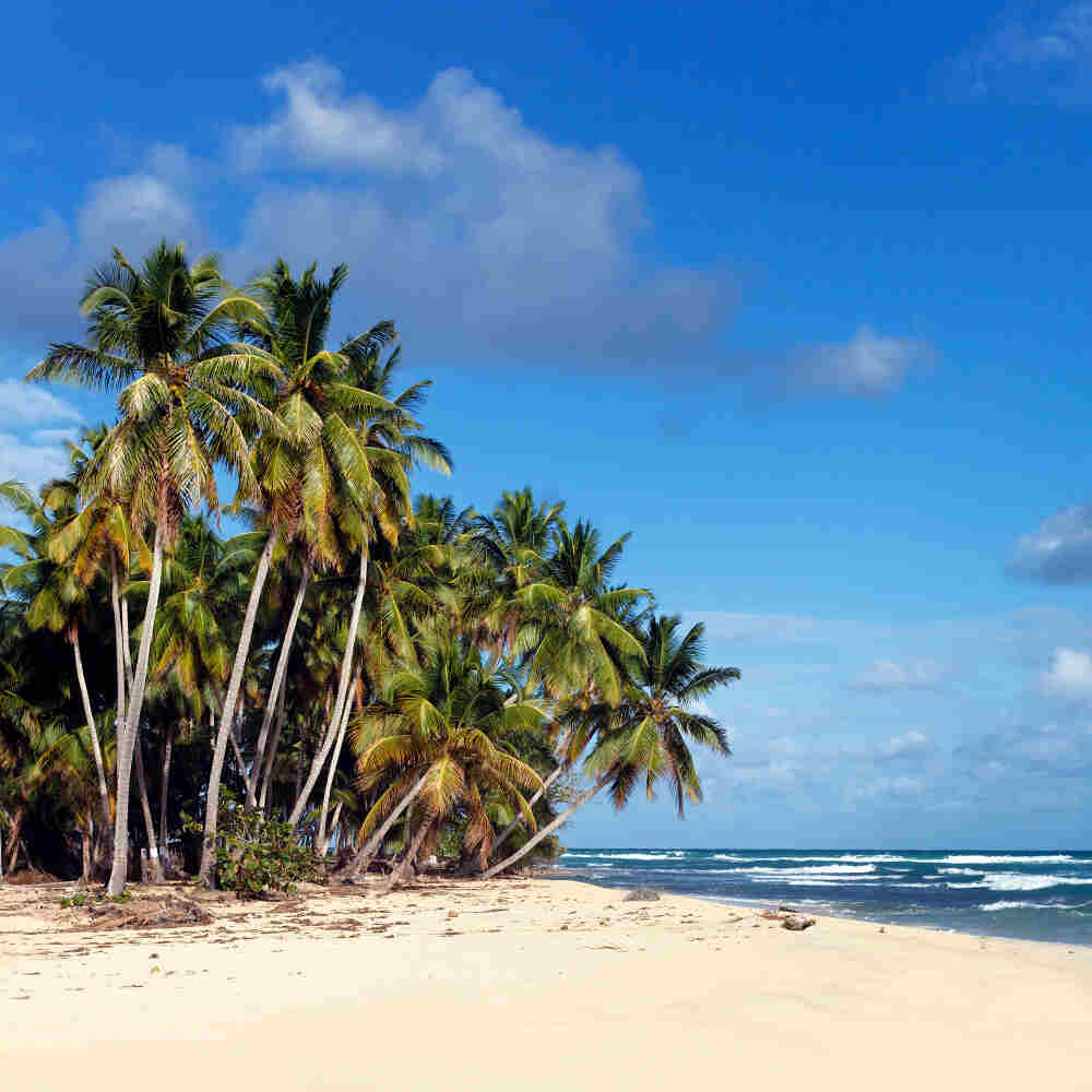 Island & Sea