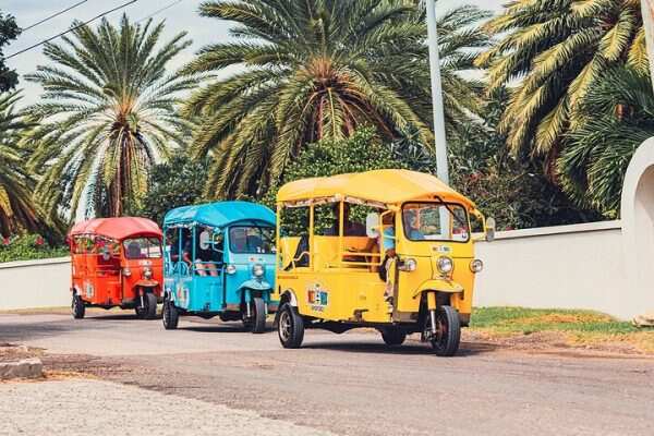 3 Colourful Buses